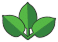 Kratom logo