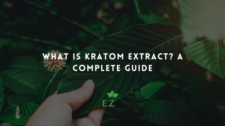 What Is Kratom Extract? A Complete Guide | EZ Kratom Wholesale