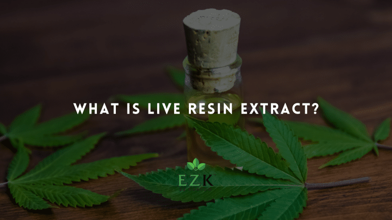 What Is Live Resin Extract?