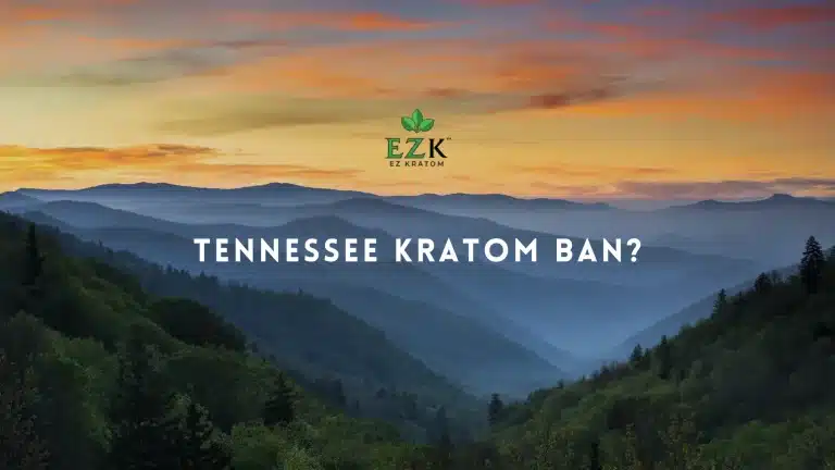 is-kratom-legal-in-tennessee