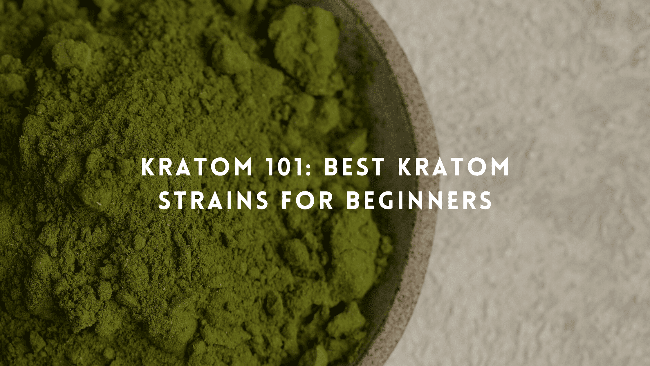 Kratom 101: Best Kratom strains For Beginners | EZ Kratom Wholesale