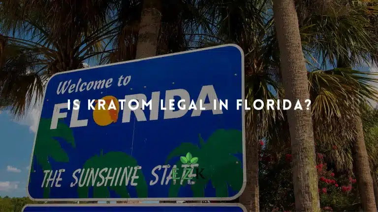 welcome to Florida signboard