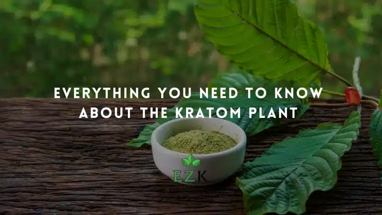 Everything-You-Need-to-Know-About-the-Kratom-Plant