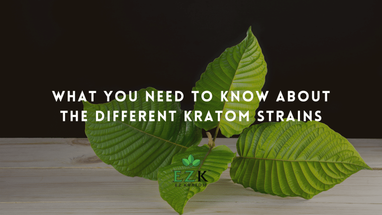 What You Need to Know About the Different Kratom Strains | EZ Kratom | What are kratom strains