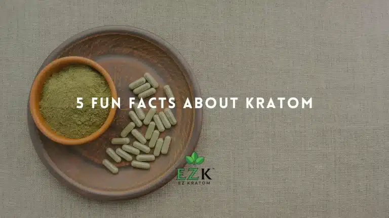 Kratom capsules and powder in plate