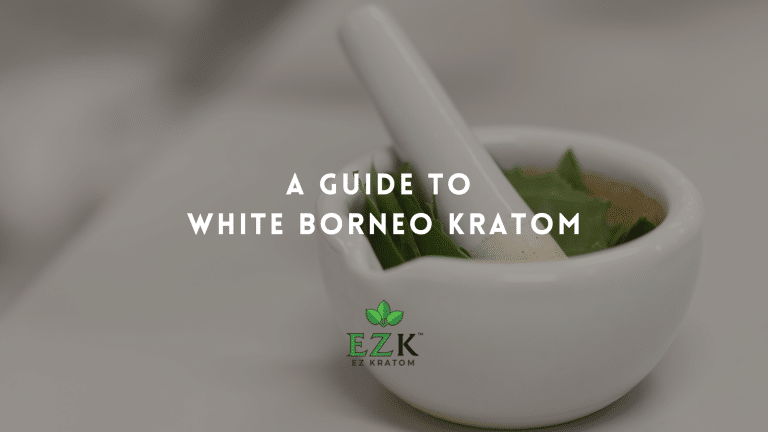A Guide to White Borneo Kratom