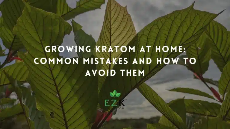 Growing-Kratom-at-Home-Common-Mistakes-and-How-to-Avoid-Them