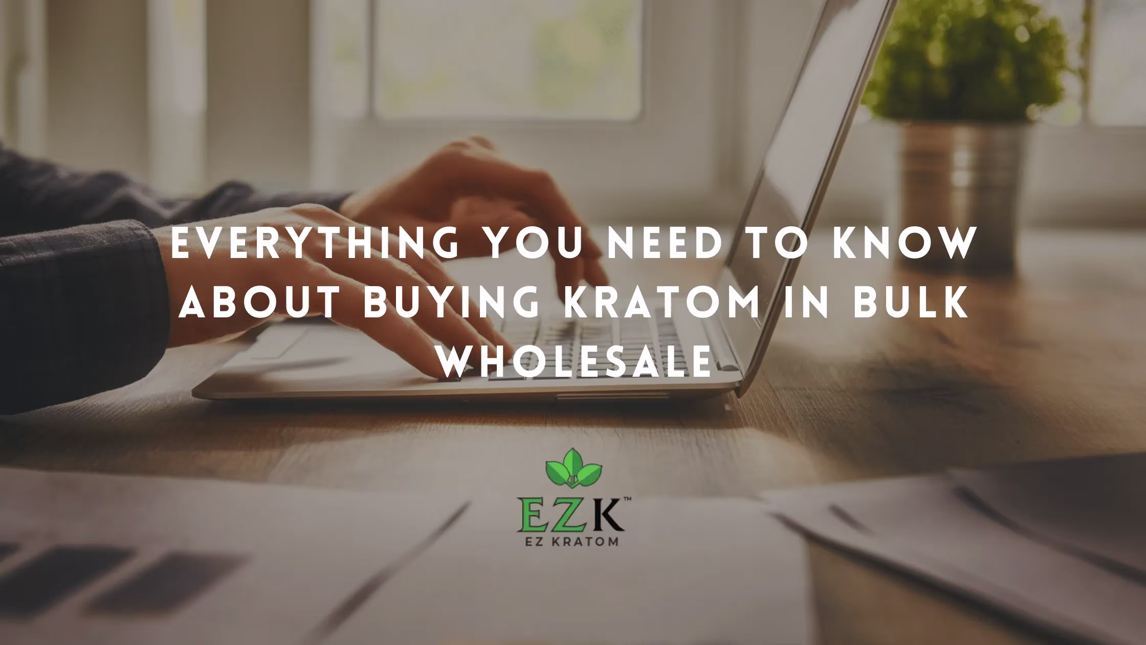 Everything You Need to Know About Buying Wholesale Kratom in Bulk