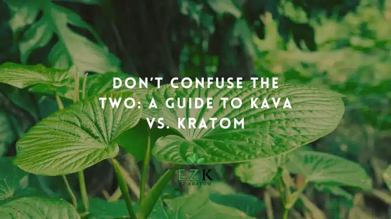 Dont-Confuse-the-Two-A-Guide-to-Kava-vs.-Kratom
