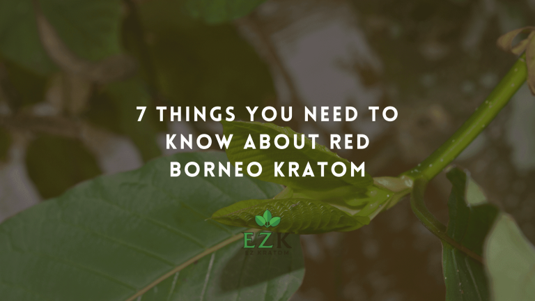 red borneo kratom