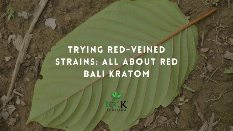 backside of Bali kratom leaf