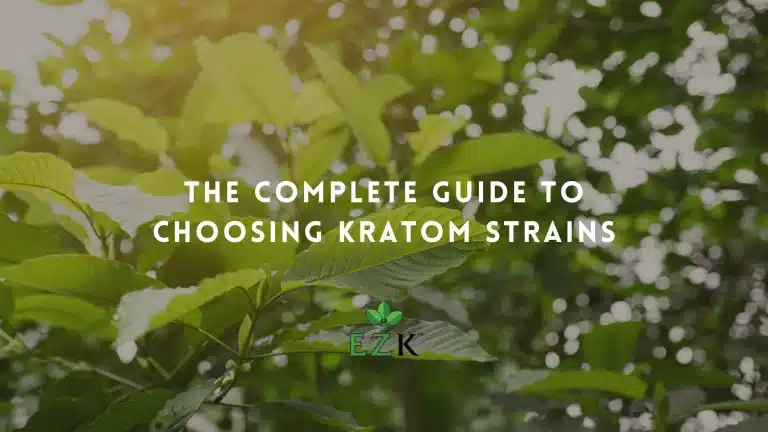 The-Complete-Guide-to-Choosing-Kratom-Strains