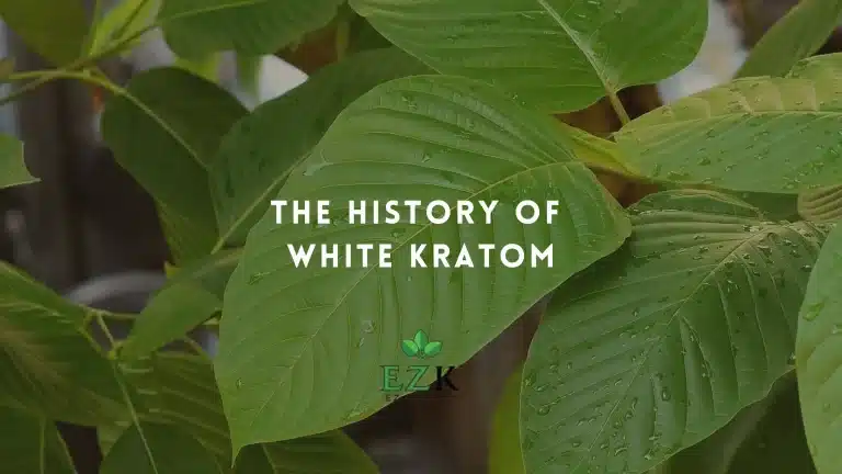 The-History-of-White-Kratom