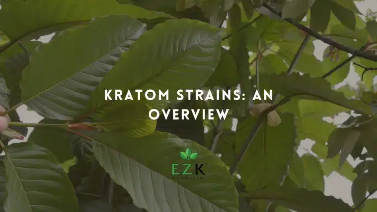 kratom-strains