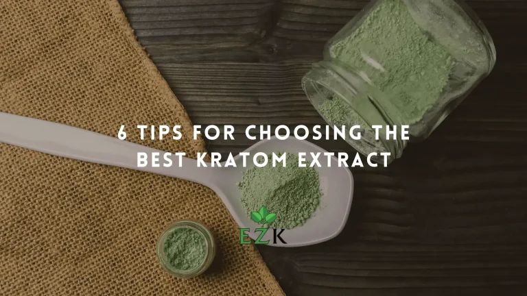 6-Tips-for-Choosing-the-Best-Kratom-Extract-1