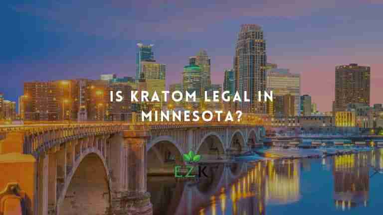 Is-Kratom-Legal-in-Minnesota