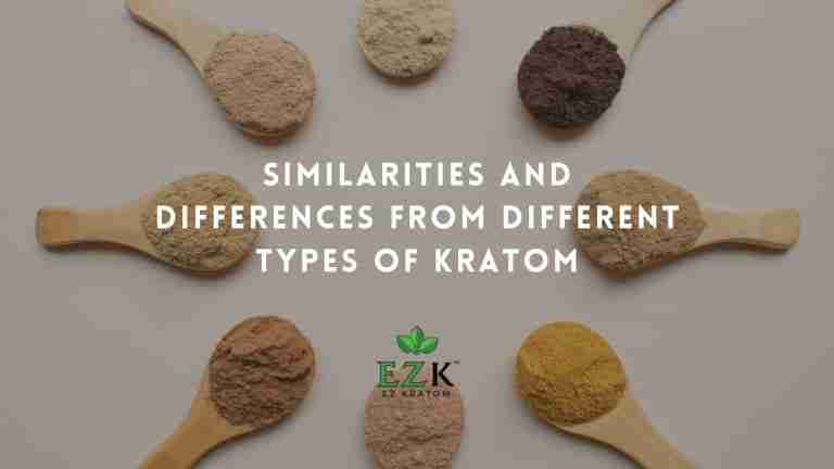Similarities and Differences from Different Types of Kratom