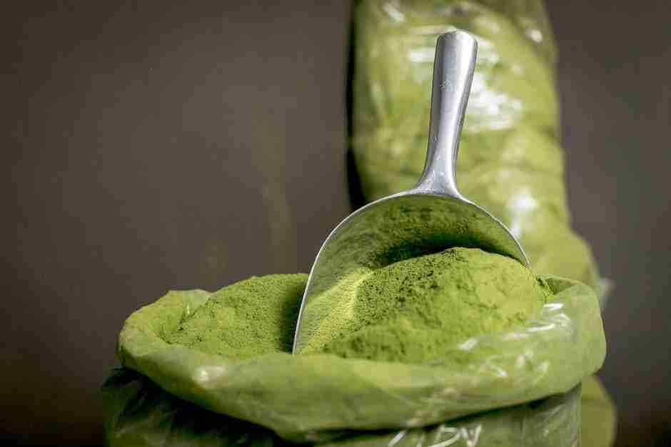 From Kratom Trees to Powder: A Look at the Kratom Production Process