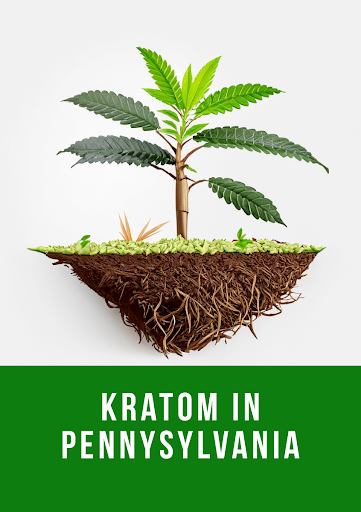 Featured Image: Kratom in Pennsylvania: Navigating Legalities, Different Kratoms, and Responsible Use