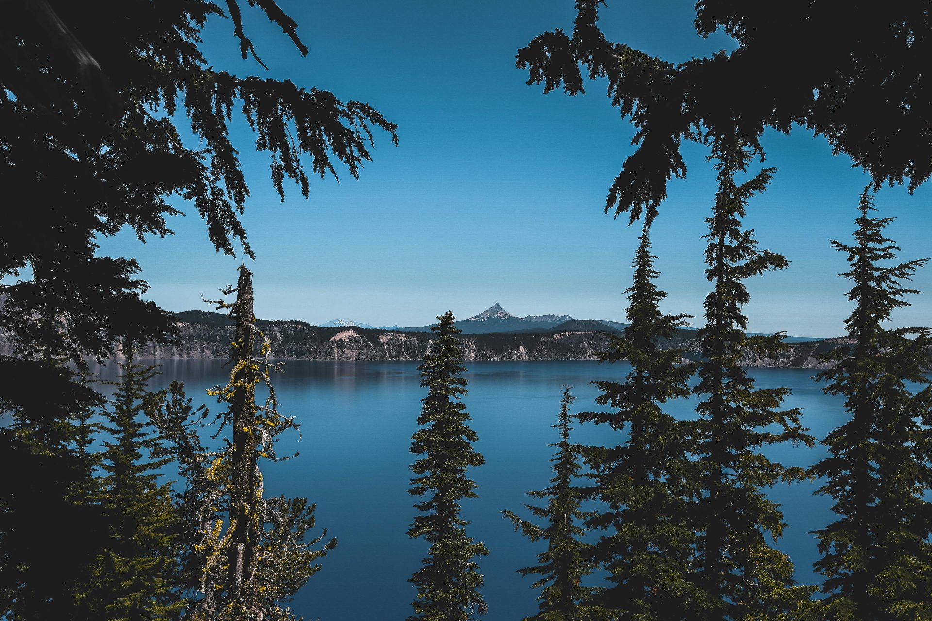 List of Festivals in Oregon – 2026