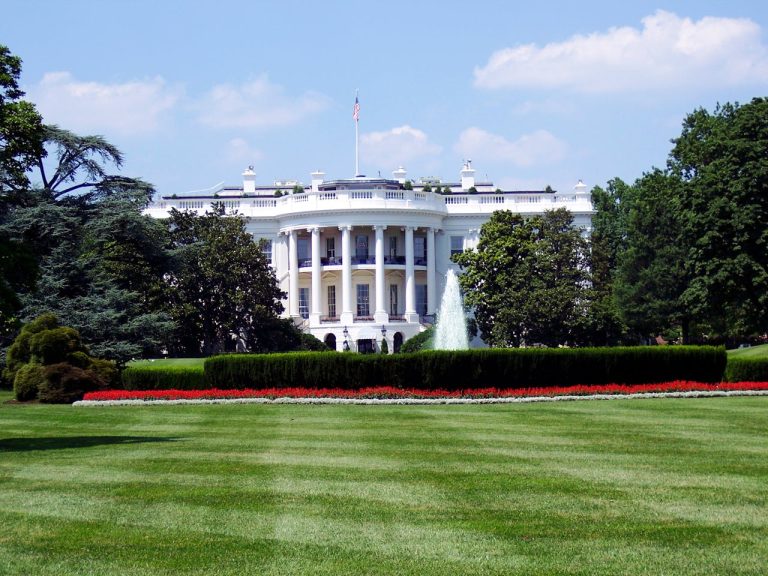 Where to Buy Kratom in Washington – 2025