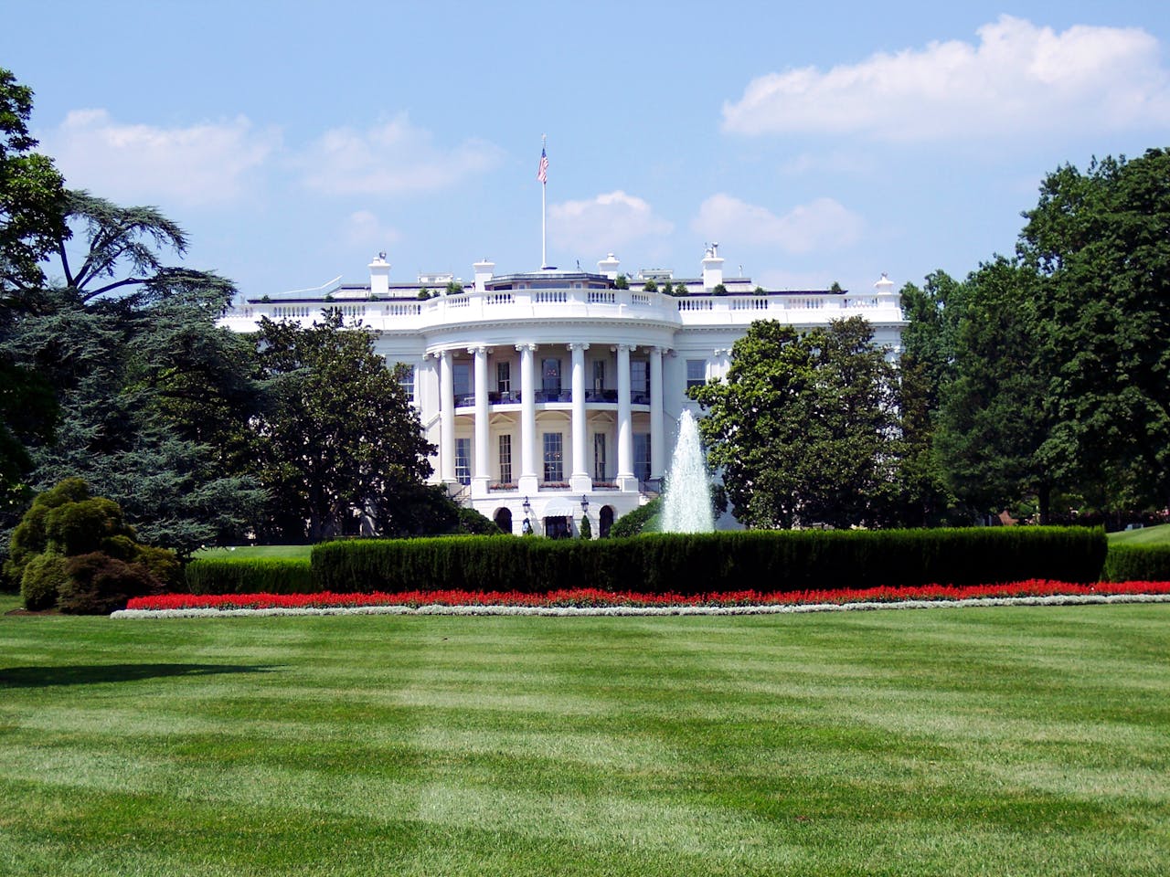 Where to Buy Kratom in Washington – 2026