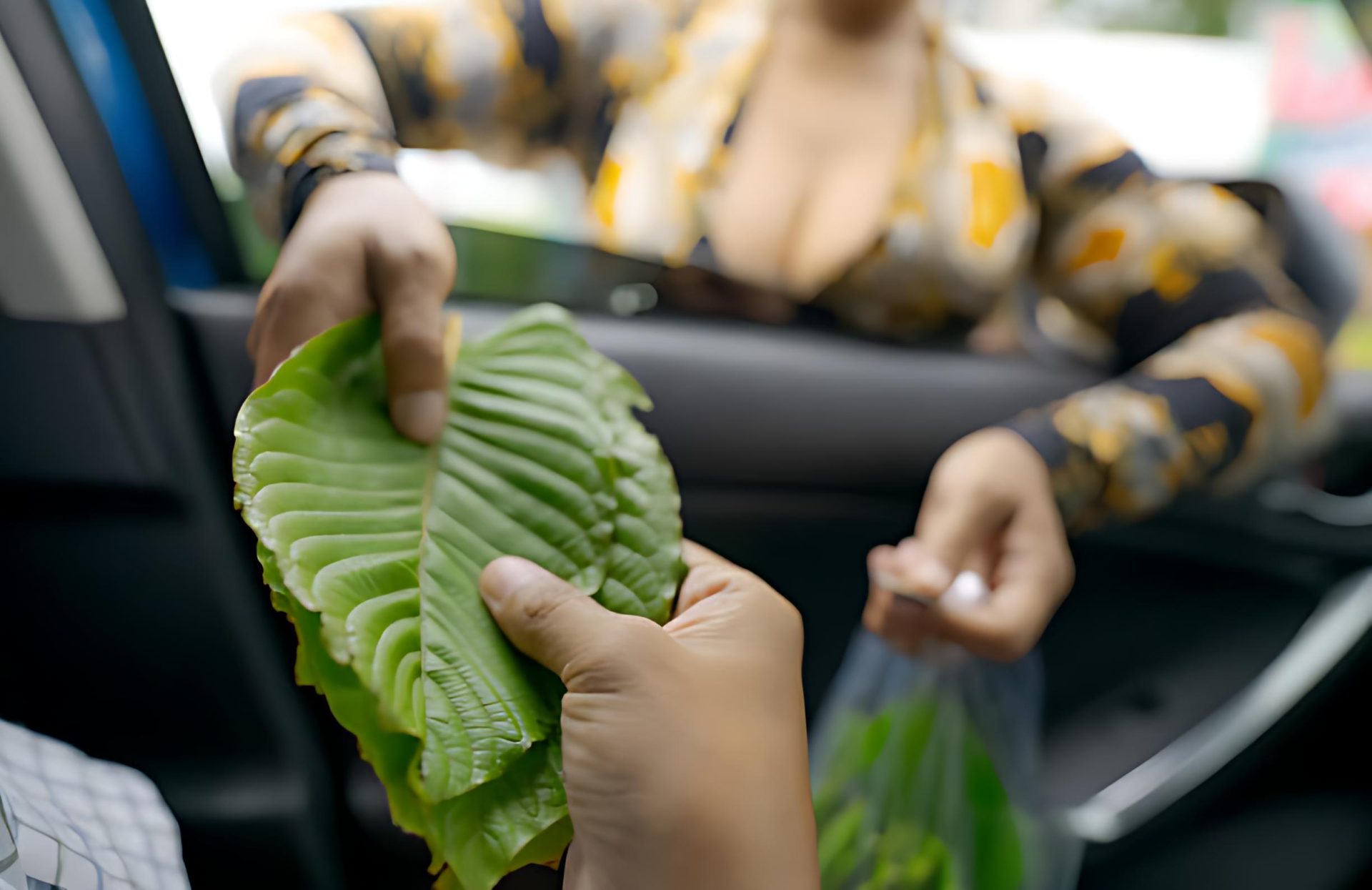 14 Kratom Market Size Statistics: The Natural Wellness Revolution Transforming Healthcare in 2026