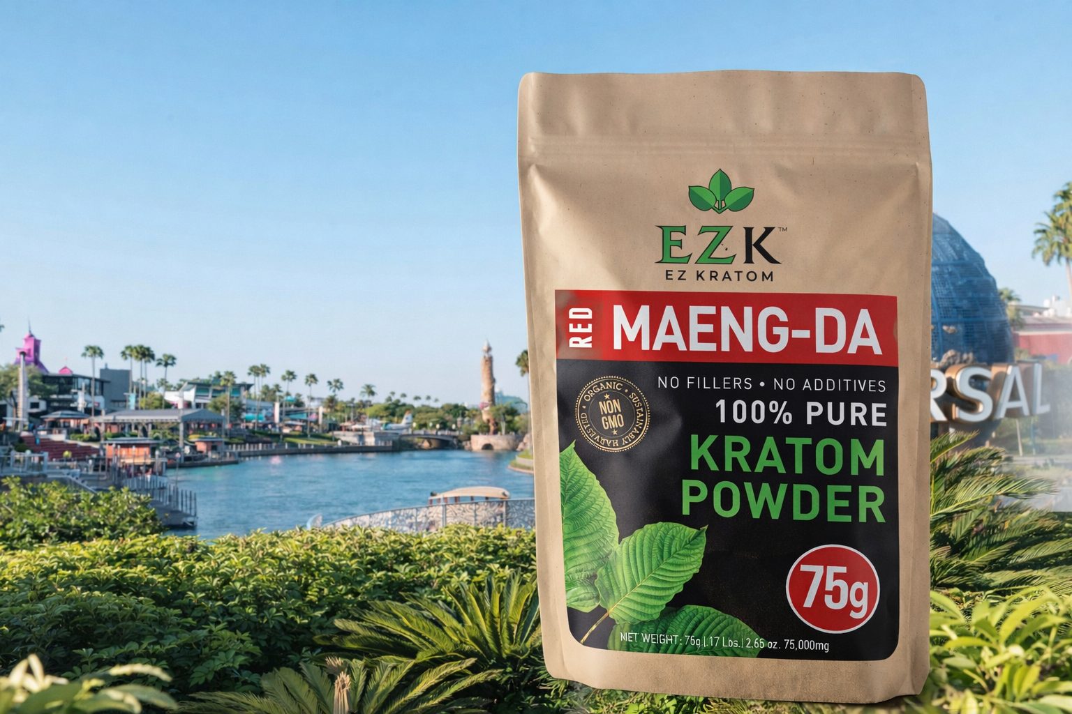 Where to Buy Kratom in Orlando – 12 Local Shops and Online Retailers