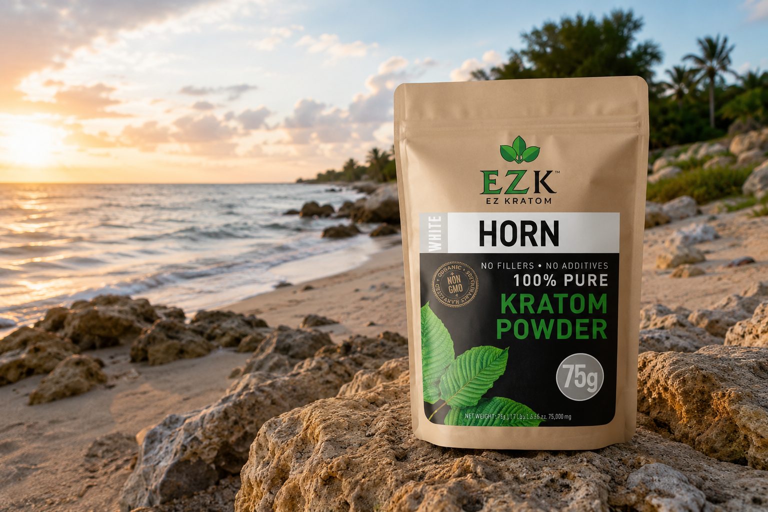 Where to Buy Kratom in Cocoa-Rockledge, FL (2026 Guide)